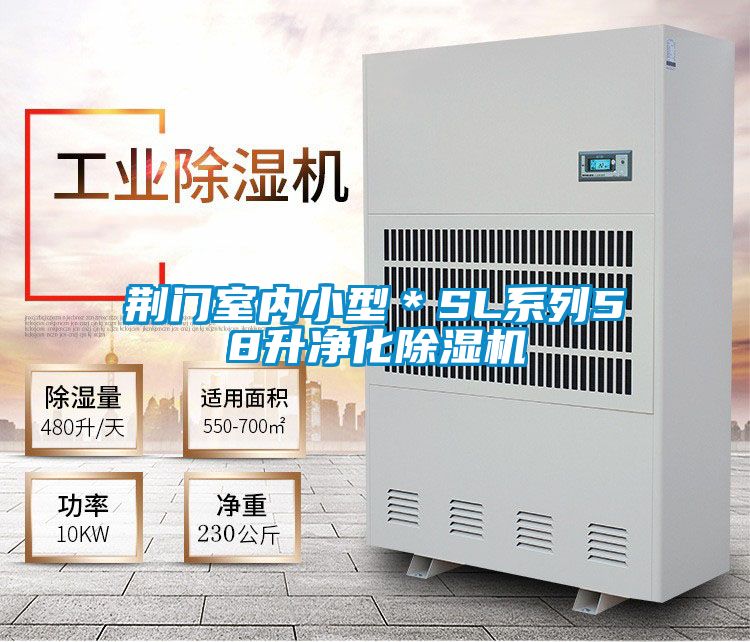 荊門室內小型＊SL係列58升淨化91看片在线下载機