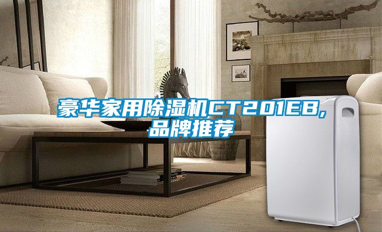 豪華家用91看片在线下载機CT201EB,品牌推薦