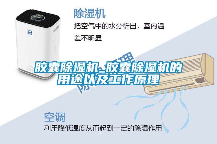 膠囊91看片在线下载機_膠囊91看片在线下载機的用途以及工作原理