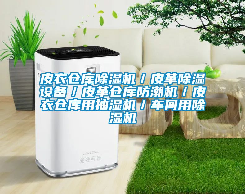 皮衣倉庫91看片在线下载機／皮革91看片在线下载設備／皮革倉庫防潮機／皮衣倉庫用抽濕機／車間用91看片在线下载機