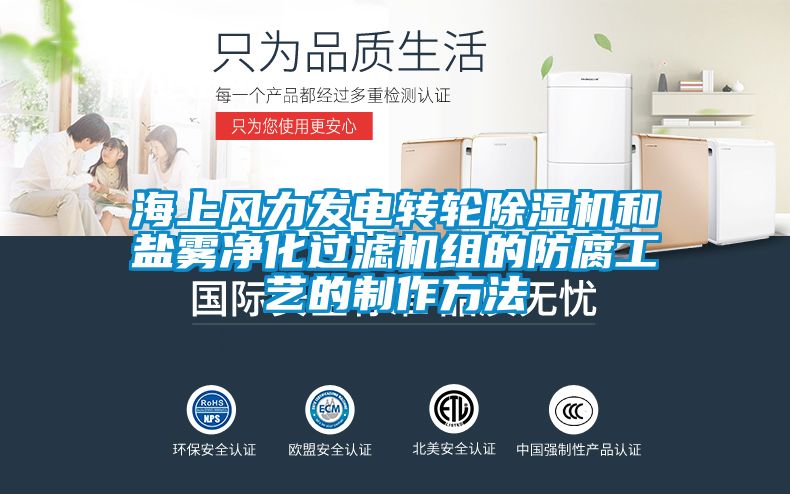 海上風力發電轉輪91看片在线下载機和鹽霧淨化過濾機組的防腐工藝的製作方法