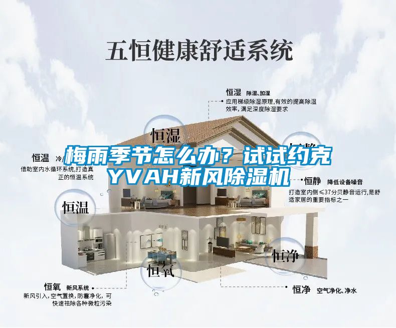 梅雨季節怎麽辦？試試約克YVAH新風91看片在线下载機