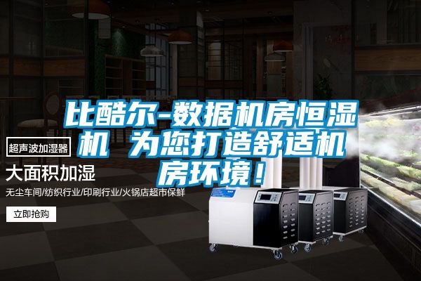 比酷爾-數據機房恒濕機 為您打造舒適機房環境！