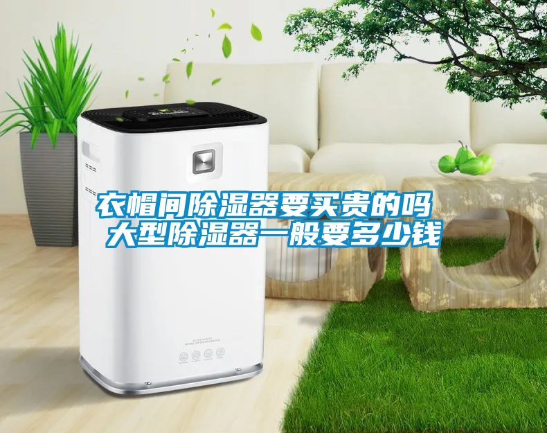 衣帽間91看片在线下载器要買貴的嗎 大型91看片在线下载器一般要多少錢