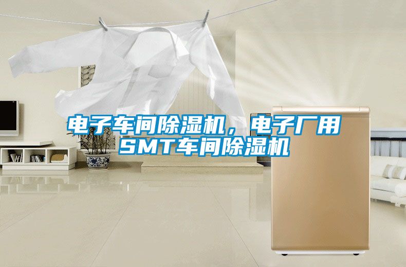 電子車間91看片在线下载機，電子廠用SMT車間91看片在线下载機