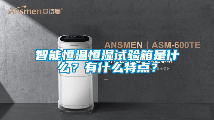 智能恒溫恒濕試驗箱是什麽？有什麽特點？