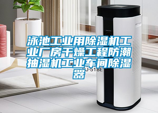 泳池工業用91看片在线下载機工業廠房幹燥工程防潮抽濕機工業車間91看片在线下载器