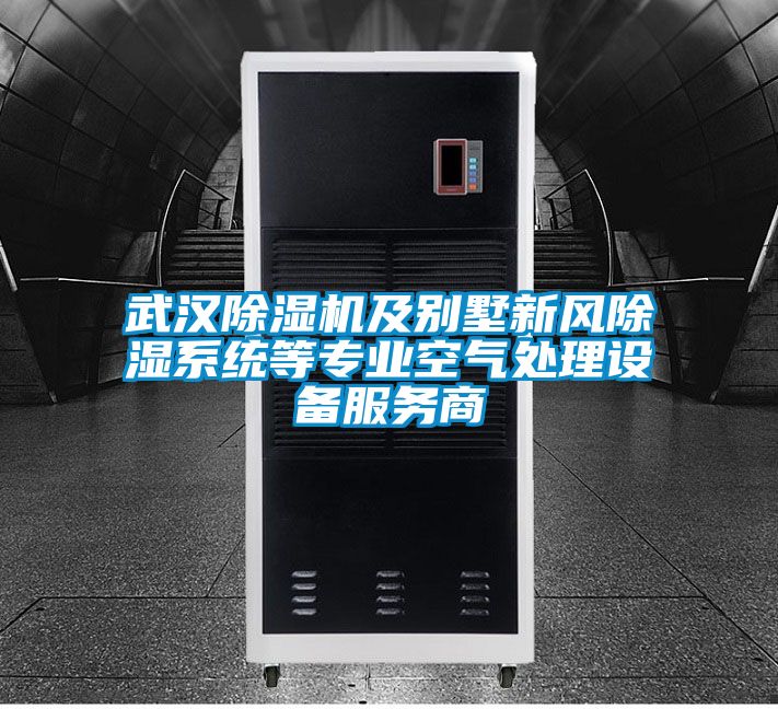 武漢91看片在线下载機及別墅新風91看片在线下载係統等專業空氣處理設備服務商