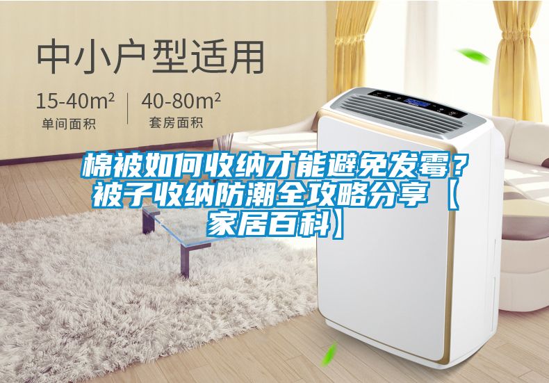棉被如何收納才能避免發黴？被子收納防潮全攻略分享【家居百科】