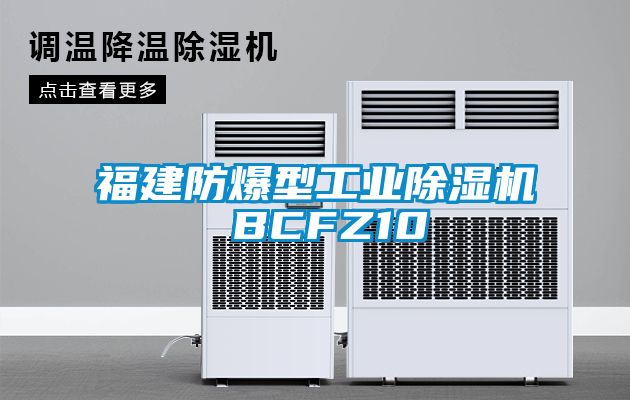福建防爆型工業91看片在线下载機 BCFZ10