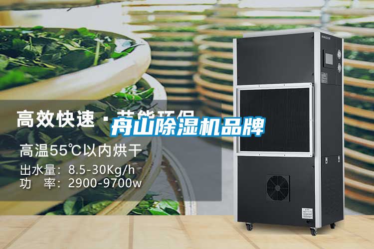 舟山91看片在线下载機品牌