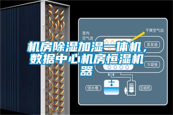 機房91看片在线下载加濕一體機，數據中心機房恒濕機器