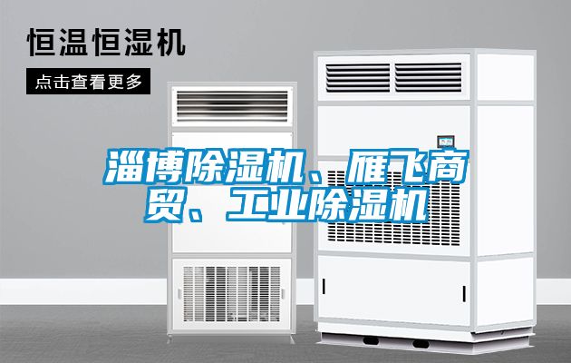 淄博91看片在线下载機、雁飛商貿、工業91看片在线下载機