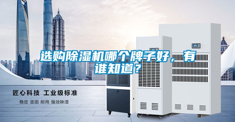 選購91看片在线下载機哪個牌子好，有誰知道？