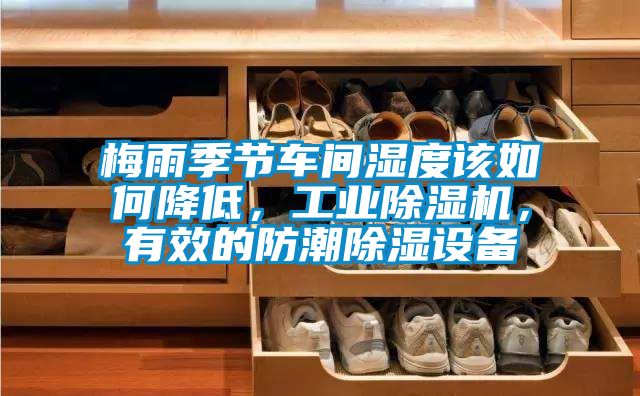梅雨季節車間濕度該如何降低，工業91看片在线下载機，有效的防潮91看片在线下载設備