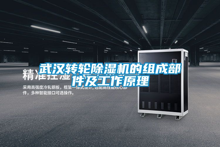 武漢轉輪91看片在线下载機的組成部件及工作原理