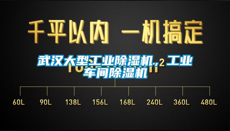 武漢大型工業91看片在线下载機，工業車間91看片在线下载機