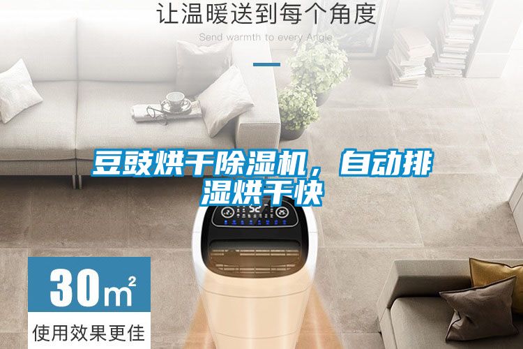 豆豉烘幹91看片在线下载機，自動排濕烘幹快