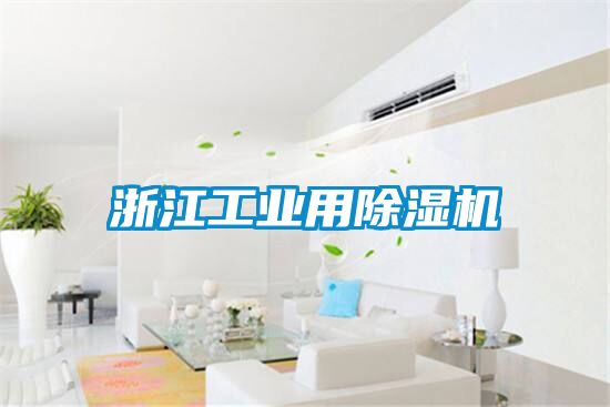 浙江工業用91看片在线下载機