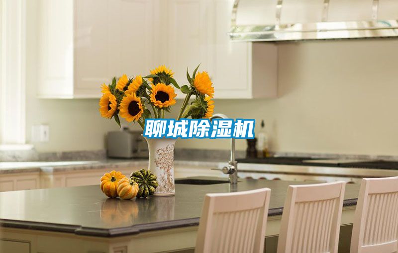 聊城91看片在线下载機