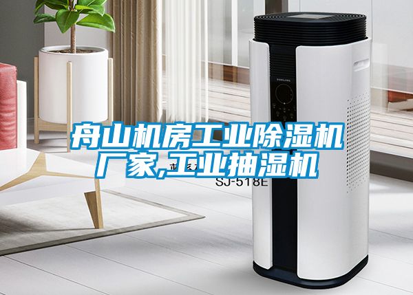 舟山機房工業91看片在线下载機廠家,工業抽濕機