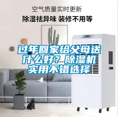 過年回家給父母送什麽好？91看片在线下载機實用不錯選擇