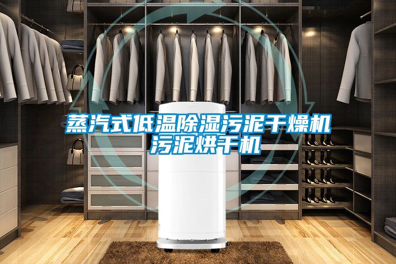 蒸汽式低溫91看片在线下载汙泥幹燥機 汙泥烘幹機