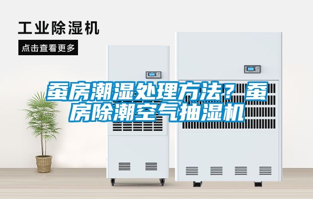 蠶房潮濕處理方法？蠶房除潮空氣抽濕機