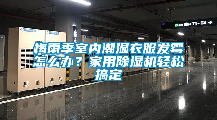 梅雨季室內潮濕衣服發黴怎麽辦？家用91看片在线下载機輕鬆搞定