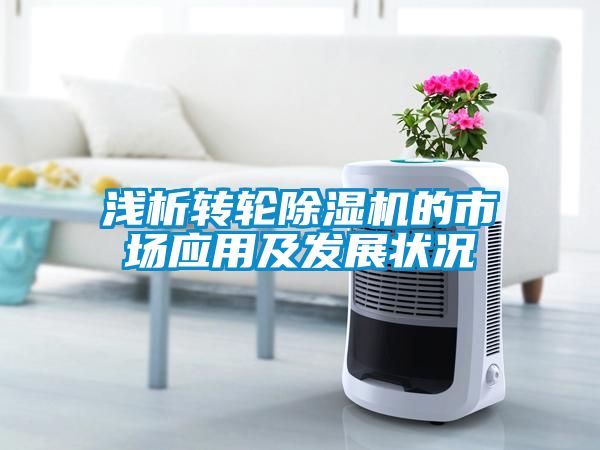 淺析轉輪91看片在线下载機的市場應用及發展狀況