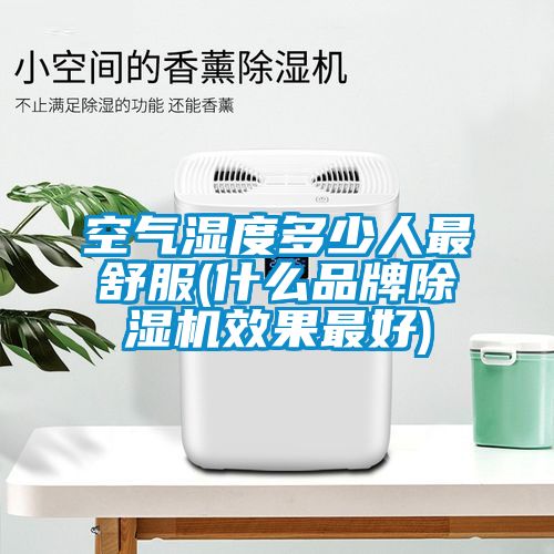 空氣濕度多少人最舒服(什麽品牌91看片在线下载機效果最好)