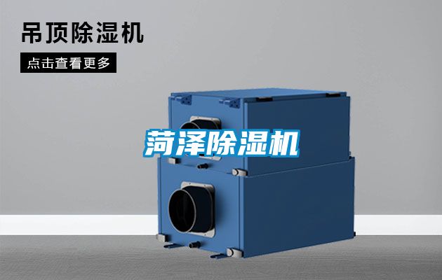 菏澤91看片在线下载機