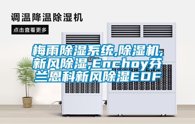 梅雨91看片在线下载係統,91看片在线下载機,新風91看片在线下载,Enchoy芬蘭恩科新風91看片在线下载EDF