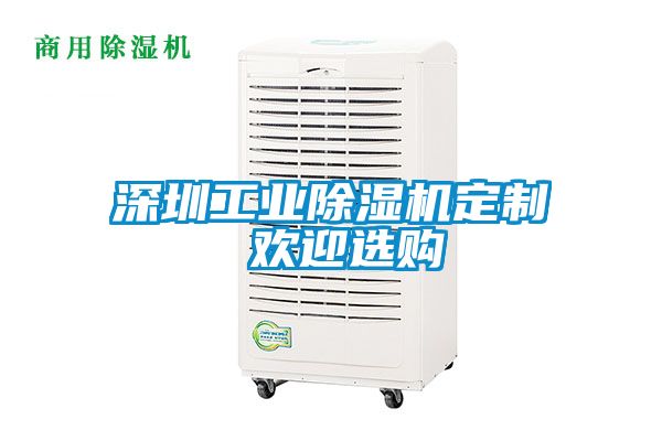 深圳工業91看片在线下载機定製 歡迎選購