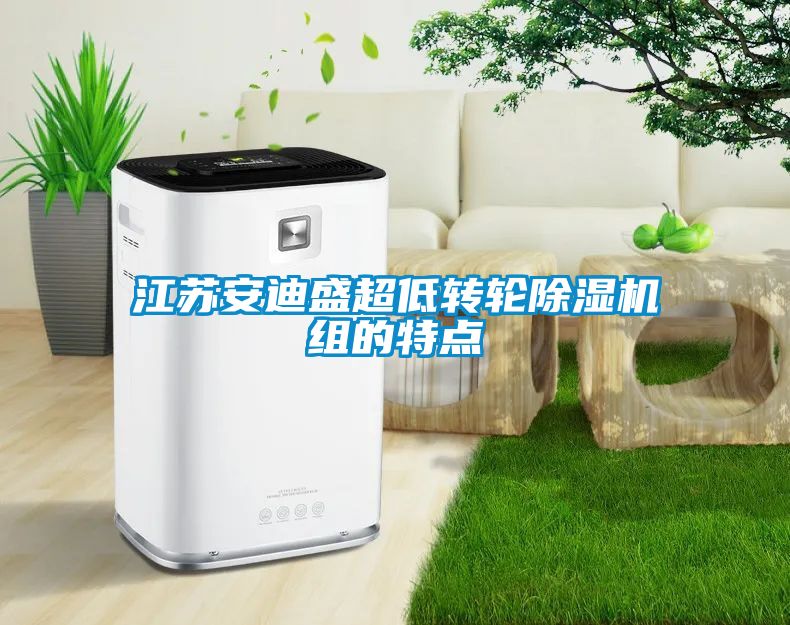 江蘇安迪盛超低轉輪91看片在线下载機組的特點