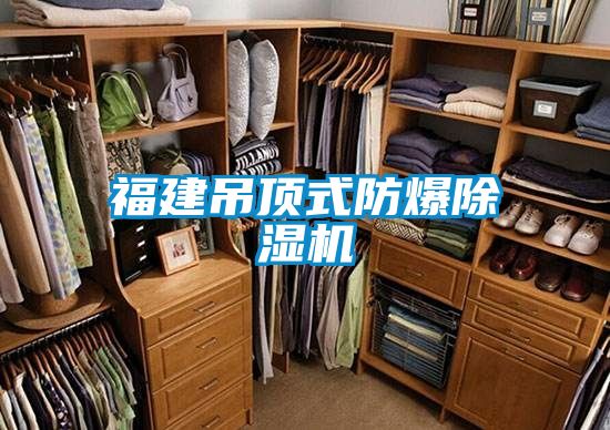 福建吊頂式防爆91看片在线下载機