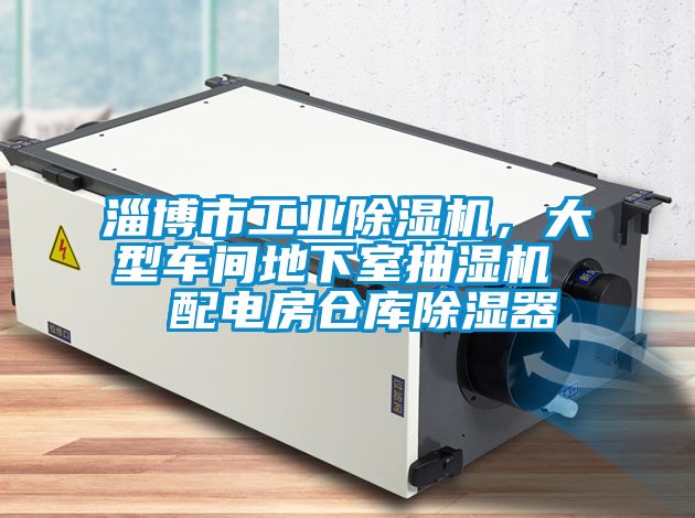 淄博市工業91看片在线下载機，大型車間地下室抽濕機  配電房倉庫91看片在线下载器