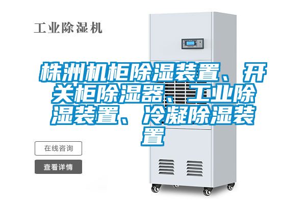株洲機櫃91看片在线下载裝置、開關櫃91看片在线下载器、工業91看片在线下载裝置、冷凝91看片在线下载裝置