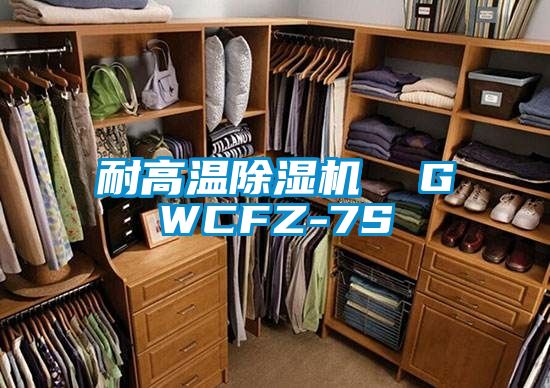 耐高溫91看片在线下载機  GWCFZ-7S