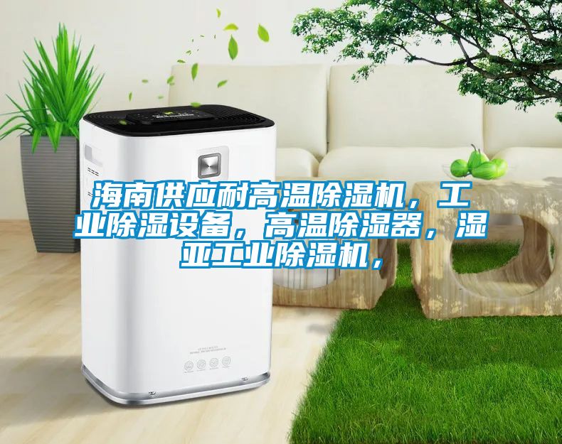 海南供應耐高溫91看片在线下载機，工業91看片在线下载設備，高溫91看片在线下载器，濕亞工業91看片在线下载機，