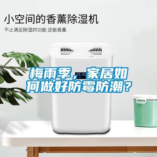 梅雨季，家居如何做好防黴防潮？