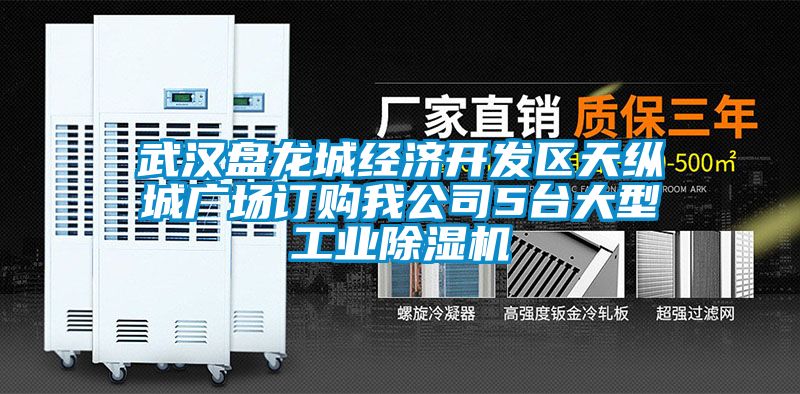 武漢盤龍城經濟開發區天縱城廣場訂購我公司5台大型工業91看片在线下载機