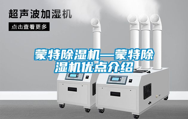 蒙特91看片在线下载機—蒙特91看片在线下载機優點介紹