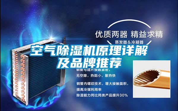 空氣91看片在线下载機原理詳解及品牌推薦