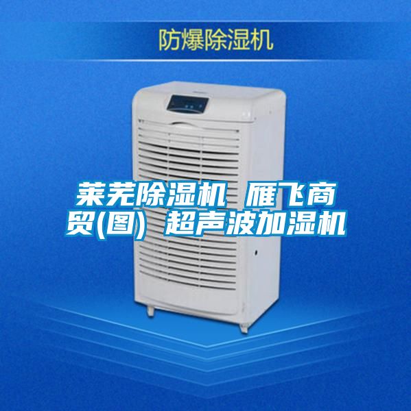 萊蕪91看片在线下载機 雁飛商貿(圖) 超聲波加濕機