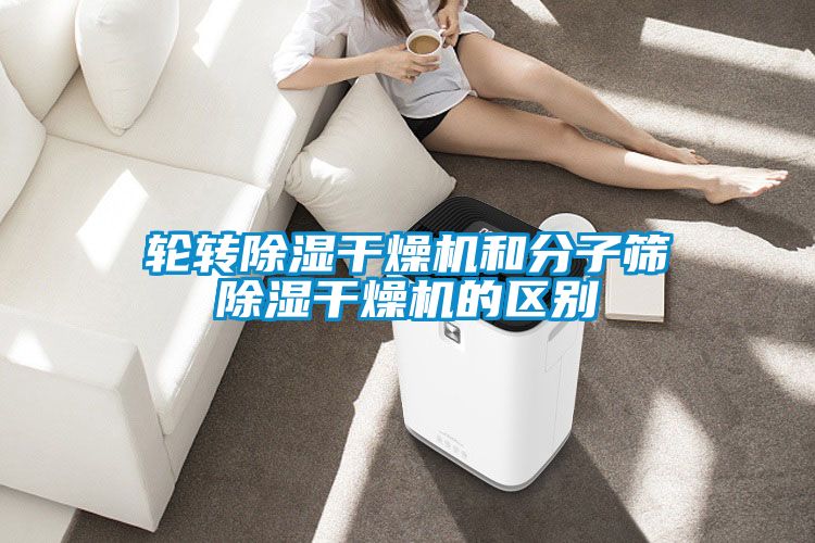輪轉91看片在线下载幹燥機和分子篩91看片在线下载幹燥機的區別