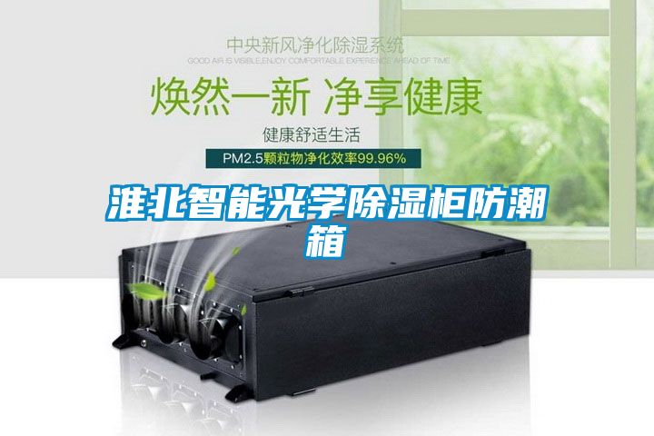 淮北智能光學91看片在线下载櫃防潮箱