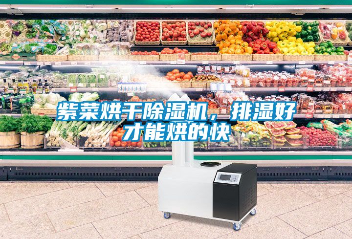 紫菜烘幹91看片在线下载機，排濕好才能烘的快