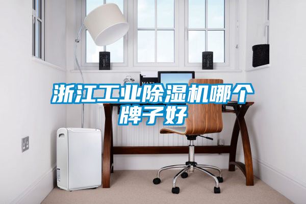 浙江工業91看片在线下载機哪個牌子好