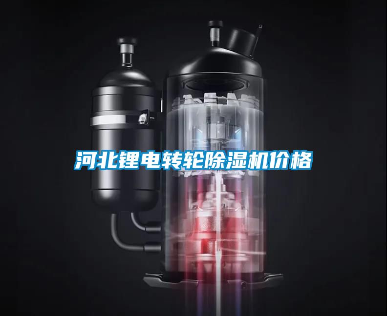 河北鋰電轉輪91看片在线下载機價格